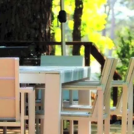 Hotel L'oasis Arcachon